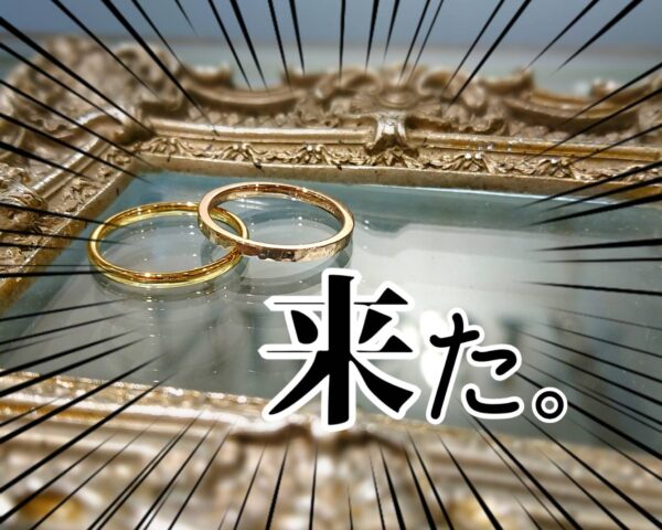 来た…！！