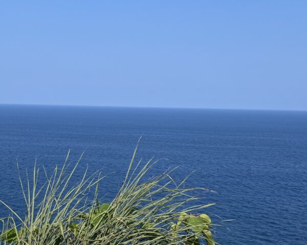 夏満喫中🐬