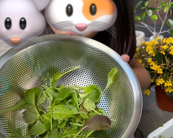 30代カップルにおすすめ結婚指輪はこれ💛