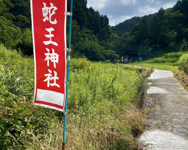 今年はヘビ年🐍
