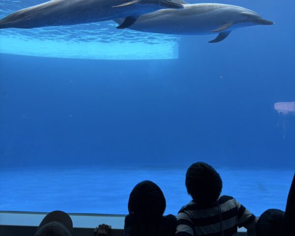 🐡四国水族館🐡